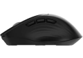 pol_pm_Nowa-Bezprzewodowa-Mysz-Biurowa-Triadyn-GANYMEDE-PRO-Bluetooth-2-4-GHz-1600-DPI-Czarna-290314_1.png