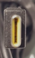 20260507_130103.jpg